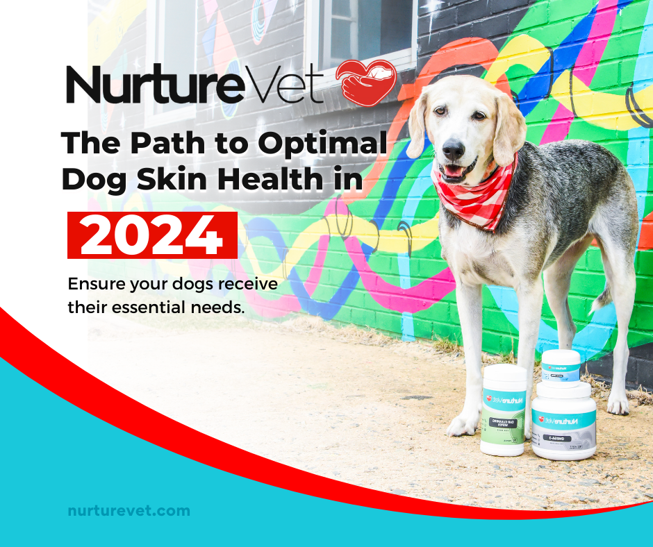 Image showcasing The Path to Optimal Dog Skin Health in 2024: Embracing NurtureVet Omeg