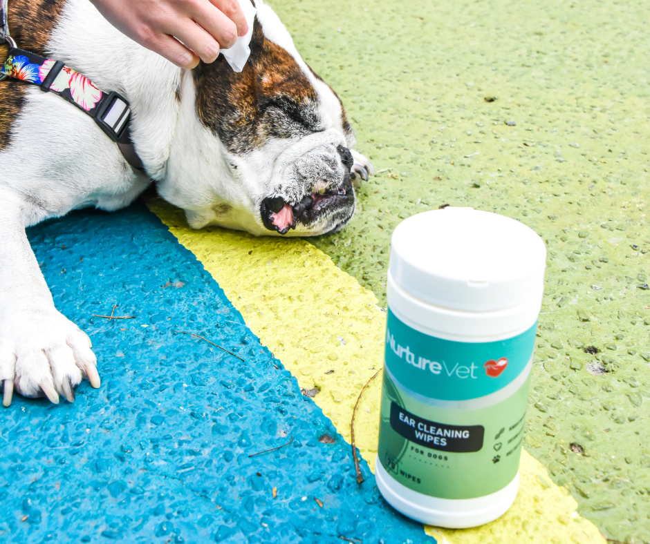 NurtureVet's Gentle Touch: Ensure Your Pup's Ear Health Stress-Free with Our Ear Cleaning Wipes