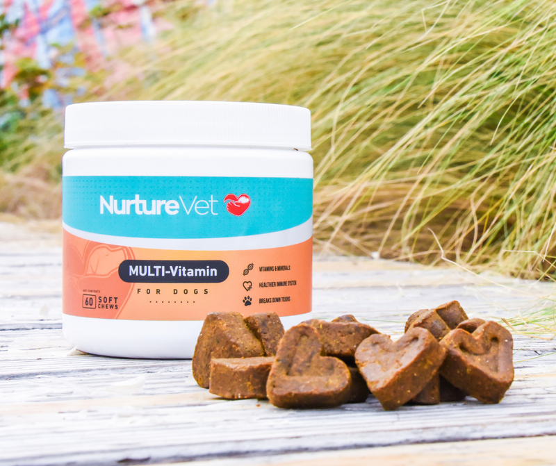 The Secrets to a Tail-Wagging Diet with Vitamin-Rich Delights