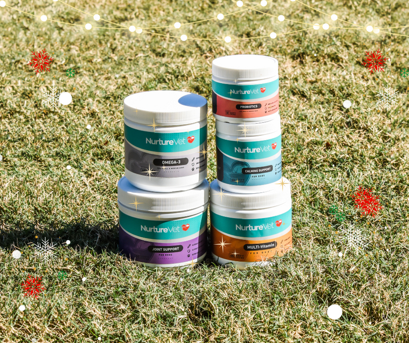 Spoiling Your Pup: The Top 5 Holiday Treats for Dogs with a Touch of NurtureVet Love