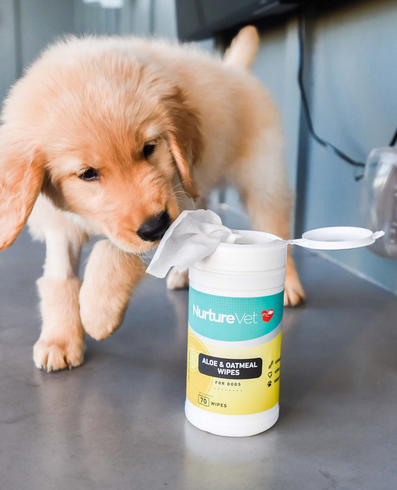 Vet-Recommended Dog Dental Wipes
