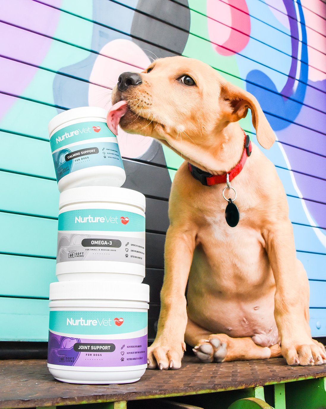 NurtureVet Premiuim Monthly Dog Supplements