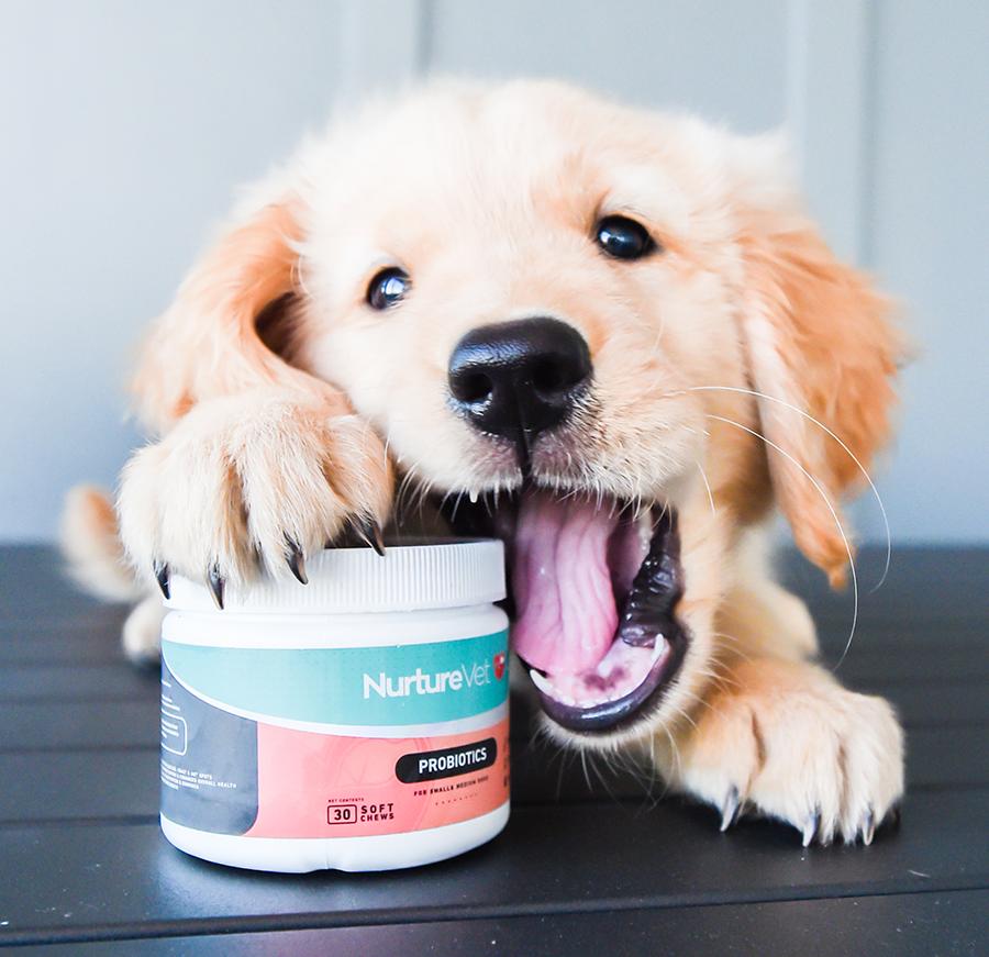 NurtureVet Probiotic Dog Supplements