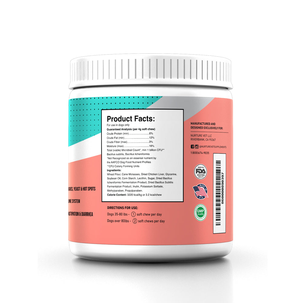 dog stomach ache symptoms