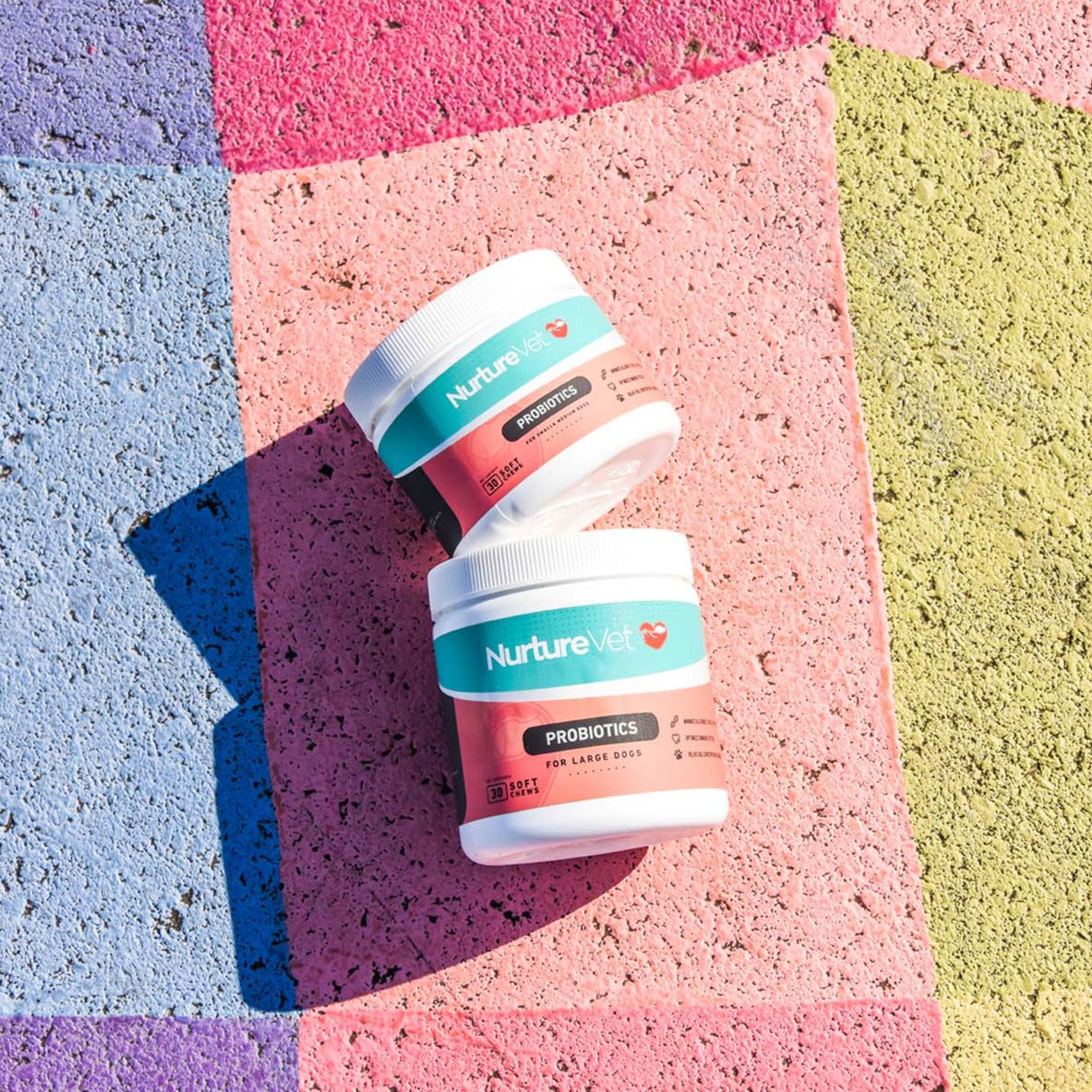 Probiotics for Large Dogs