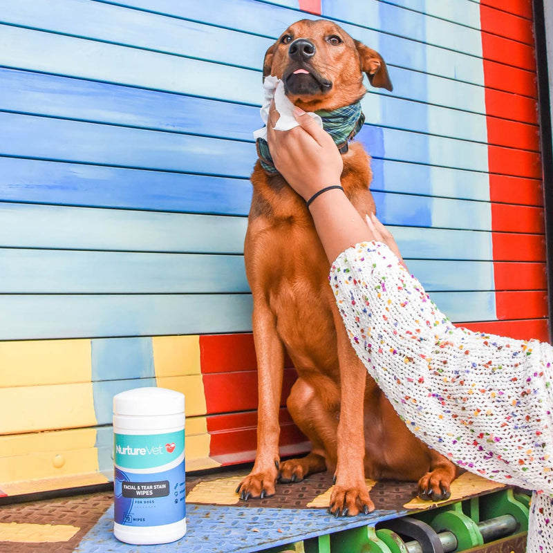 Best Dog Wipes for Tear Stain Removal & Prevention