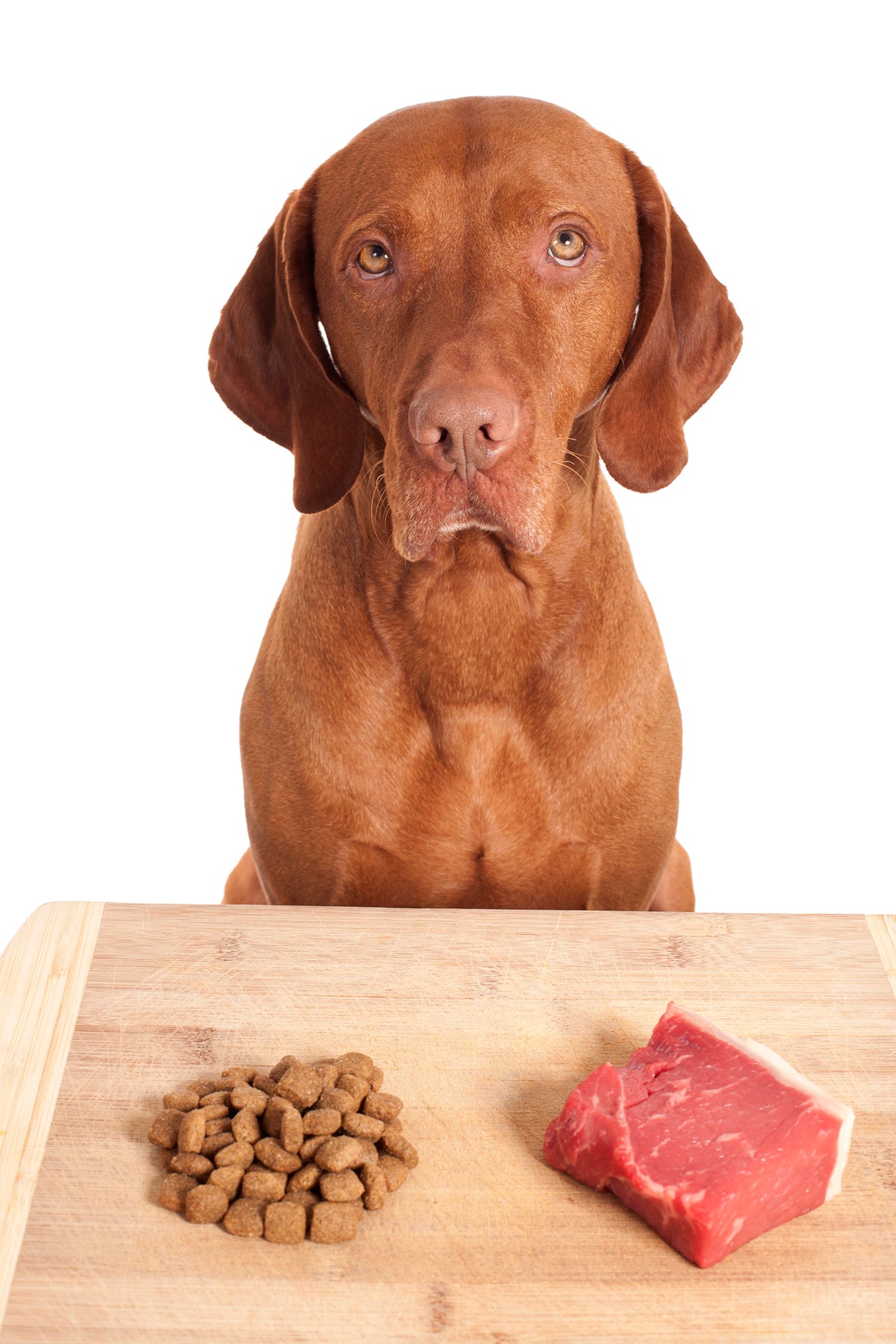 Should I Change Dog Supplements When I Change My Dog's Food?