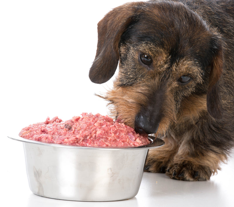 Do Raw Fed Dogs Need Dog Supplements?
