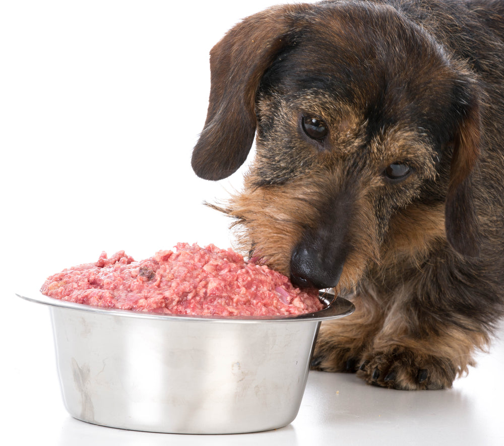 Do Raw Fed Dogs Need Dog Supplements? NurtureVet