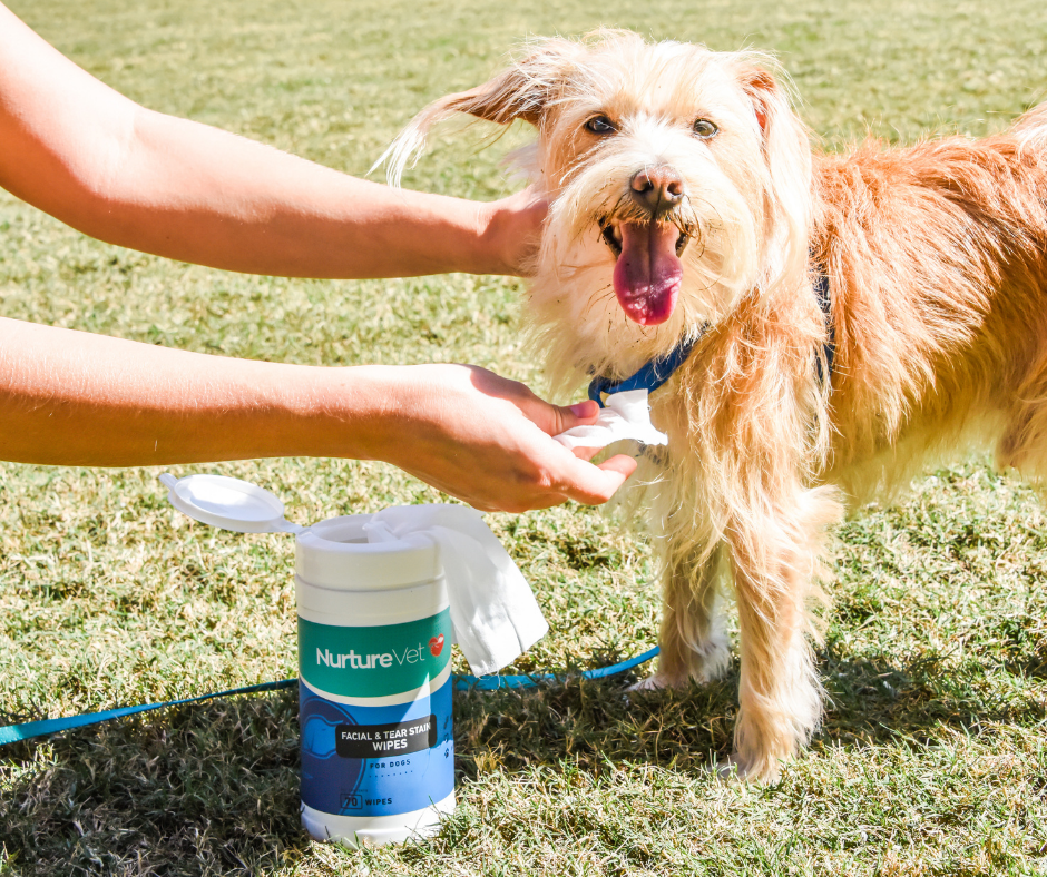 Bright Eyes, Happy Pup: NurtureVet's Facial and Tear Stain Wipes for Quick, Easy Eye Care