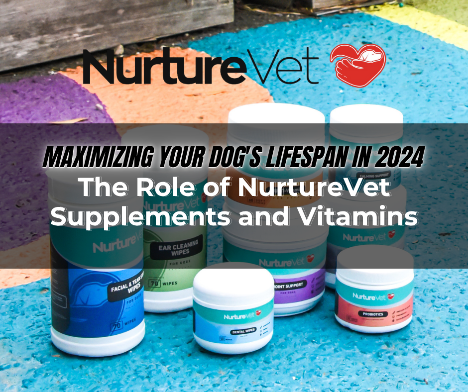 Maximizing Your Dog's Lifespan in 2024: The Role of NurtureVet Supplements and Vitamins