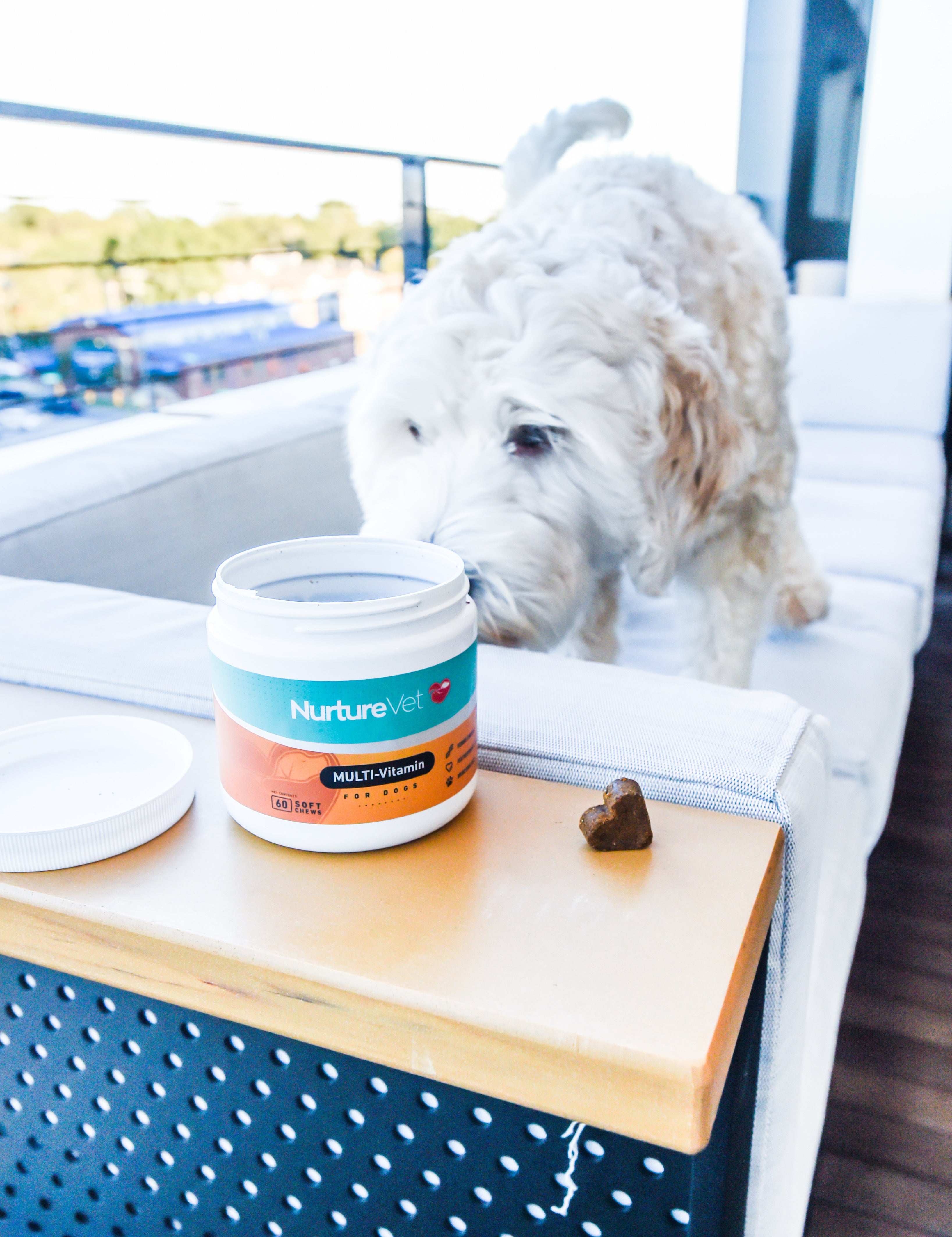 The Benefits Of Vitamins For Dogs | How To Choose The Right Ones ...