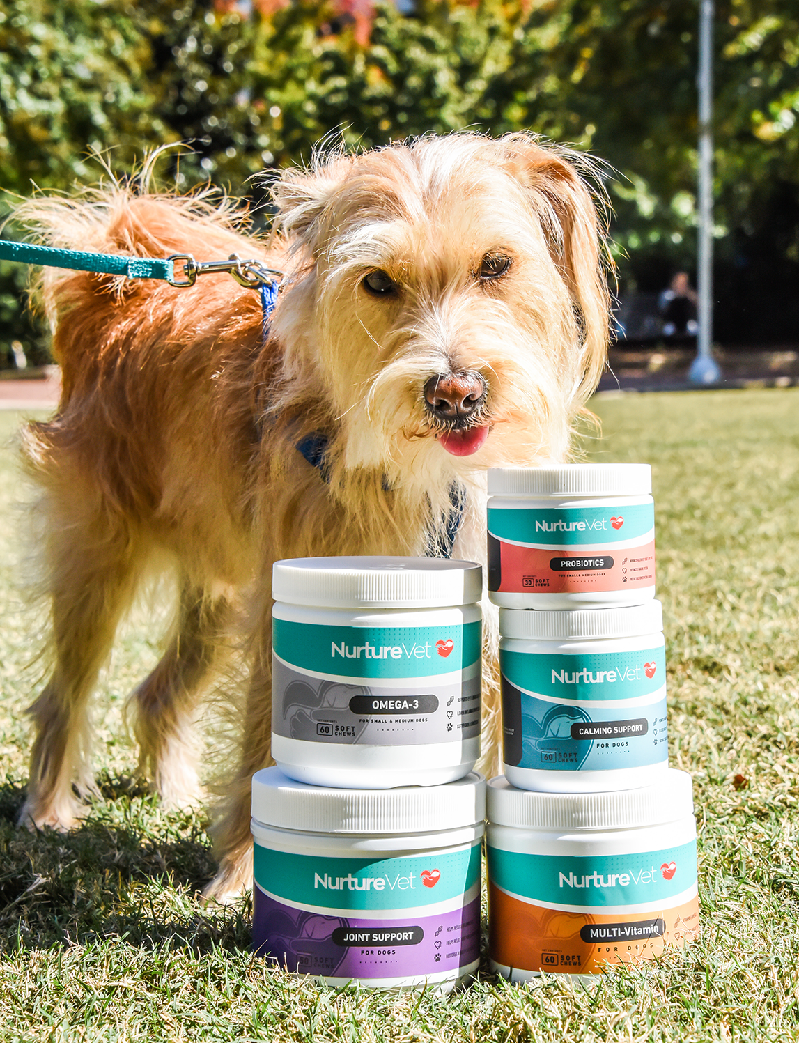 NurtureVet Dog Supplements