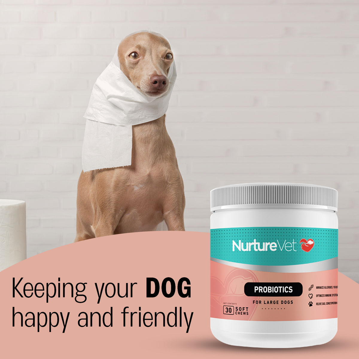 Probiotics for Large Dogs -Digestive Enzymes for Dogs - Dog Constipation