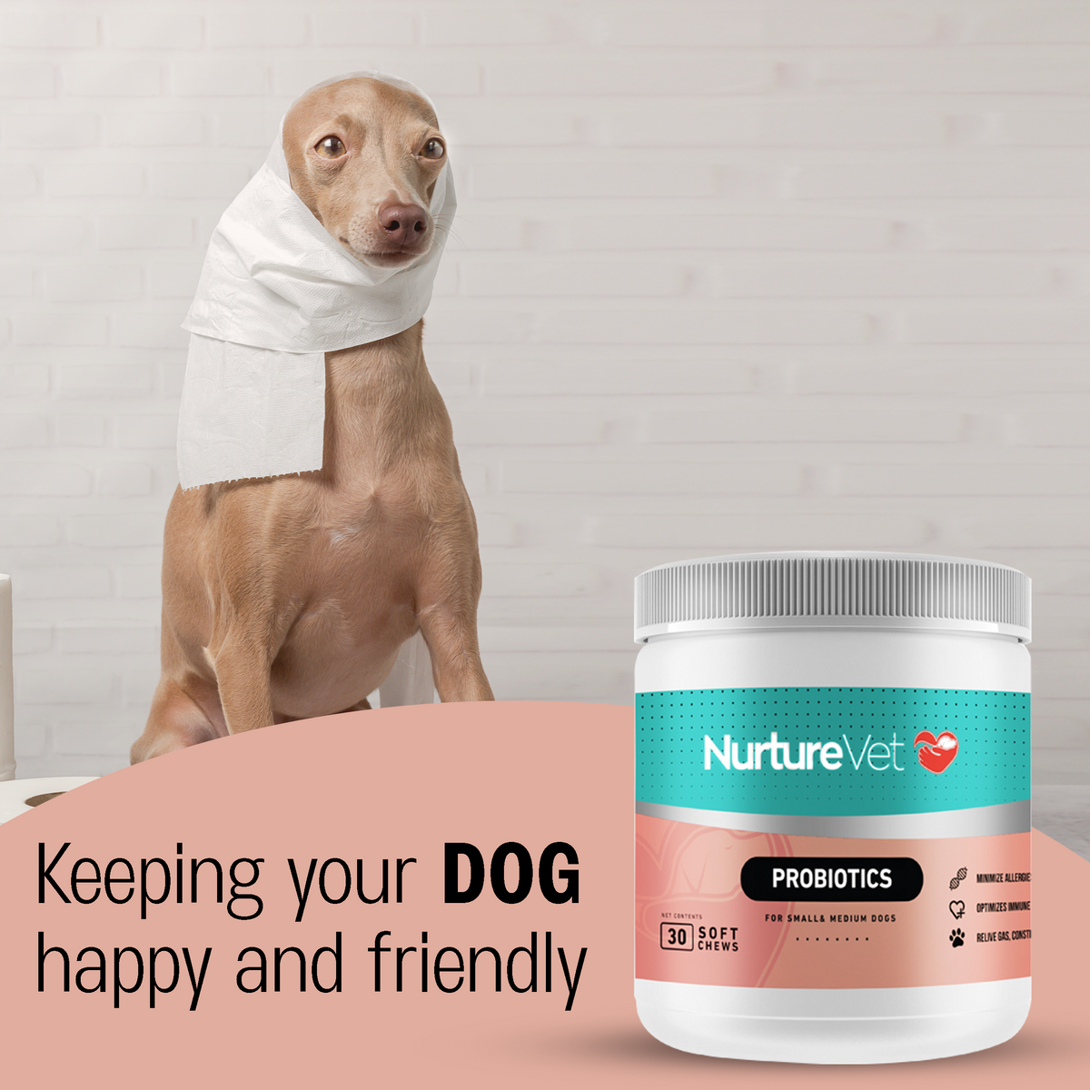 Probiotics for Dogs Improve Your Dog s Digestion Gut Health